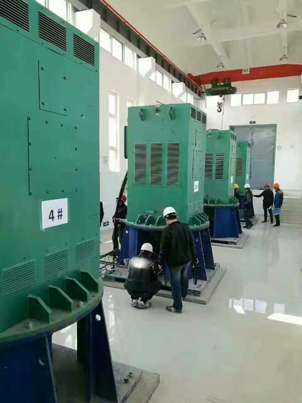 Y800-4某污水处理厂使用我厂的立式高压电机安装现场