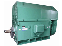 Y800-4YKK系列高压电机